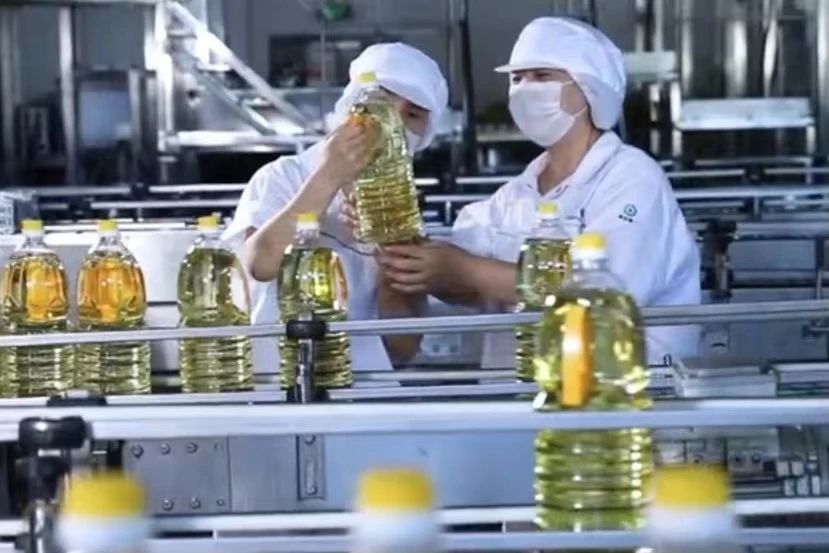 bevictor伟德官网-韦德官方网站